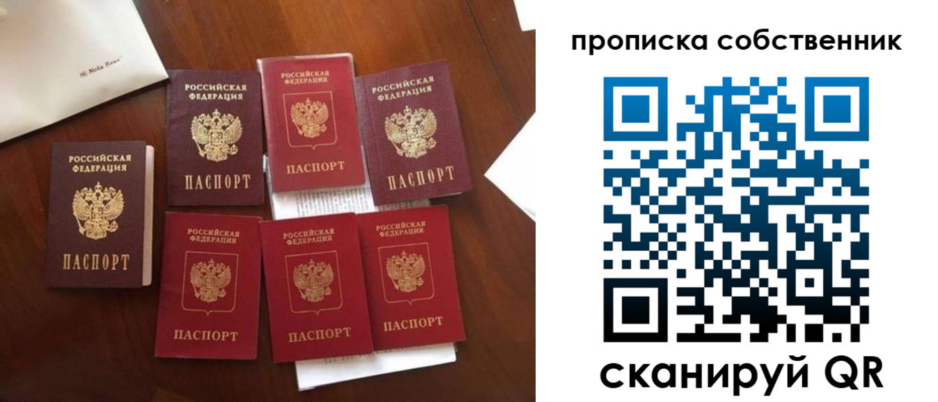 прописка для школы в Ясногорске